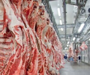 Leia mais sobre o artigo Carne bovina: Brasil exporta menos, fatura mais e tem queda na oferta de boi no mercado interno