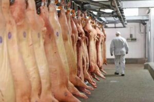 Leia mais sobre o artigo MS atinge recorde na exportação de carne suína em 2021