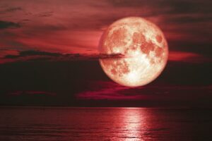 Leia mais sobre o artigo Amantes da astronomia de Mato Grosso do Sul poderão ver a Lua de Morango