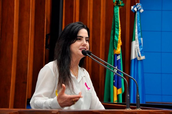 Você está visualizando atualmente Deputada Mara Caseiro (PSDB) quer instituir Programa Sinal Vermelho para pedido de socorro de mulheres