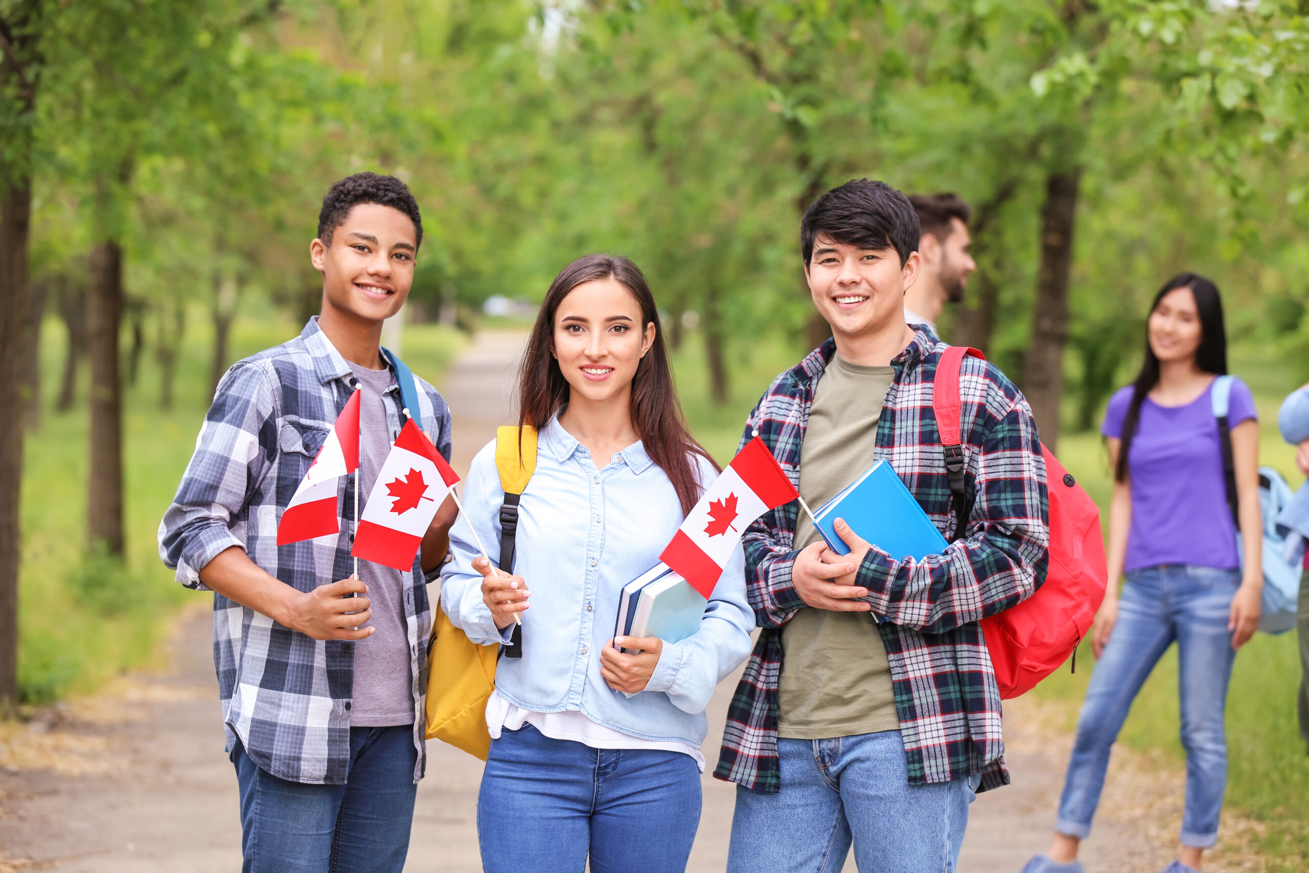 Canad Dar Visto R pido Aos Estudantes Brasileiros MS POST 