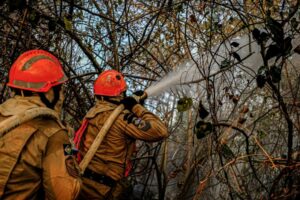 Leia mais sobre o artigo Bombeiros monitoram incêndios em MS