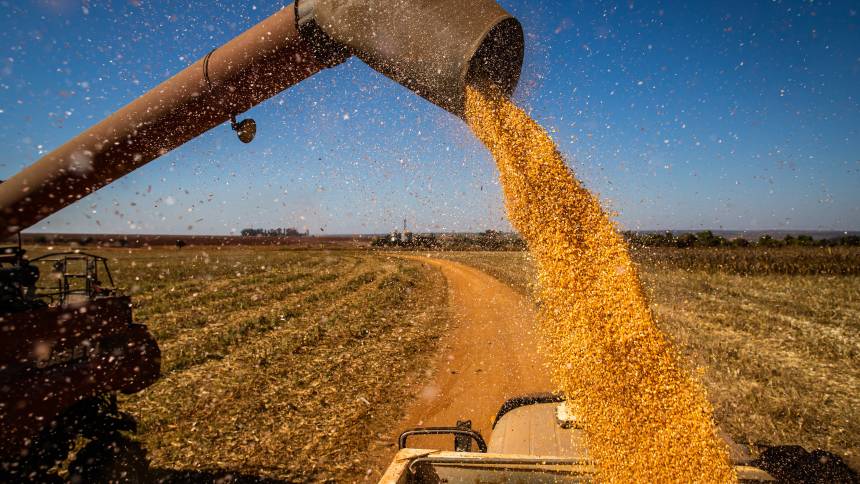 Você está visualizando atualmente BTG entra no campo