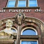 O Instituto Pasteur da França considera duas doses de Pfizer ou AstraZeneca cruciais para vencer a variante Delta