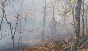 Leia mais sobre o artigo Pantanal tem autorização de ‘queima controlada’ suspensa