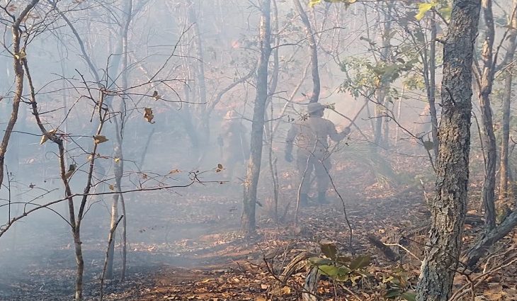 Você está visualizando atualmente Pantanal tem autorização de ‘queima controlada’ suspensa
