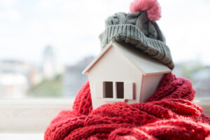 Leia mais sobre o artigo Frio intenso: dicas para manter a casa aquecida
