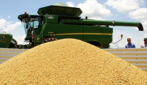 Leia mais sobre o artigo Exportações de Mato Grosso do Sul sobem 16,5% com destaque para soja, celulose e açúcar