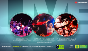 Leia mais sobre o artigo SED realiza live de aquecimento para 14ª Mostra cultural e Festival MS in Concert