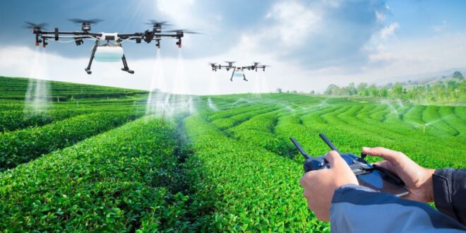 Você está visualizando atualmente UVA desenvolve Inteligência artificial para agricultura