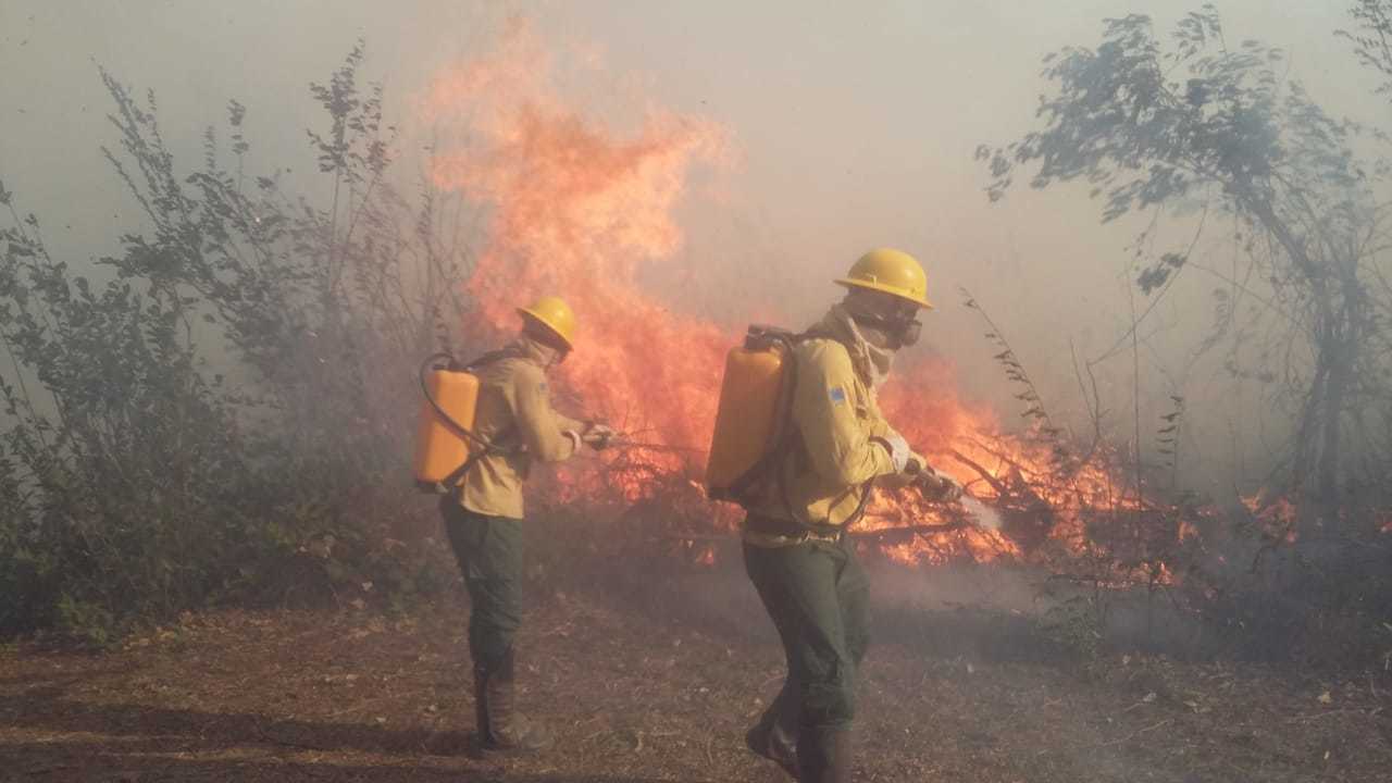 Você está visualizando atualmente Prefeitura de Corumbá pede ajuda para combater queimadas no Pantanal