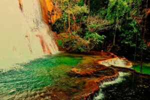 Leia mais sobre o artigo Bodoquena realiza Semana do Meio Ambiente focando na preservação