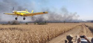 Estado de MS e ruralistas se unem no combate aos incêndios no Pantanal