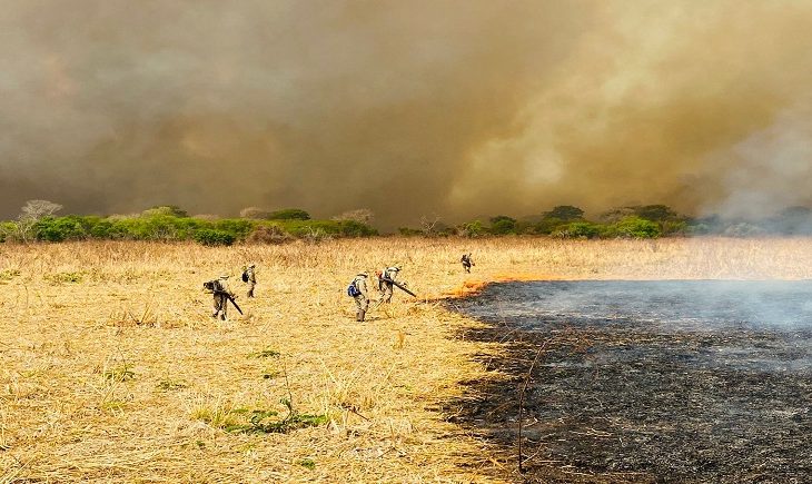 Você está visualizando atualmente Incêndios no Pantanal mobilizam grande força-tarefa em MS