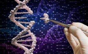 Leia mais sobre o artigo Pesquisa do genoma humano, uma revolução na cura de doenças