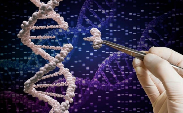 Você está visualizando atualmente Pesquisa do genoma humano, uma revolução na cura de doenças
