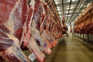 Leia mais sobre o artigo Boi alcança menor valor do ano, mas preço da carne não diminui