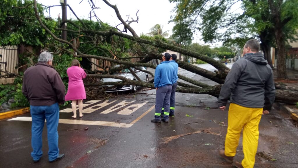 Você está visualizando atualmente Tempestade em Naviraí provocou estragos em órgãos da Prefeitura 