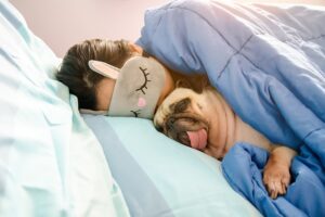 Read more about the article Dormir com o cachorro faz mal? Descubra