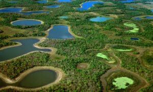 Leia mais sobre o artigo O Pantanal perdeu 29% de superfície de água nos últimos 30 anos