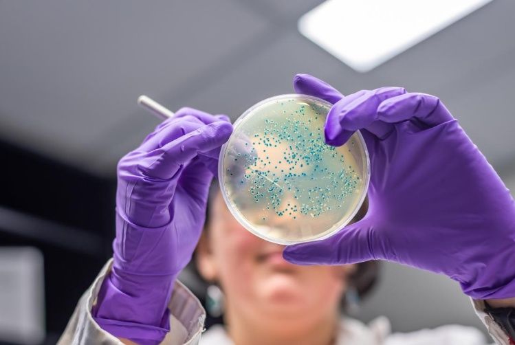 Você está visualizando atualmente Criada bactéria que come CO2 para reduzir gases de efeito estufa