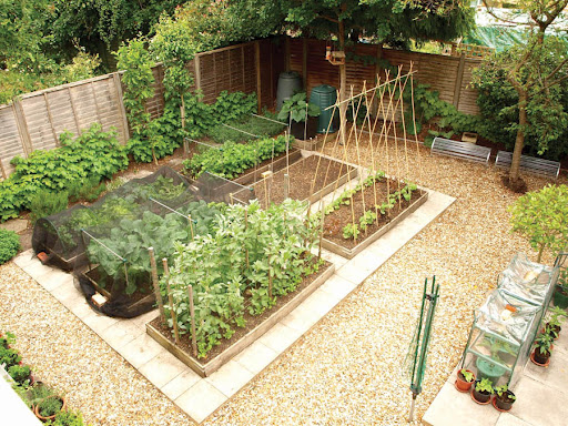 Você está visualizando atualmente Horta em casa, aprenda o que  plantar e como cultivar 