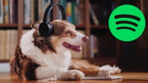Read more about the article MÚSICA ANIMAL: Spotify tem playlist personalizada para bichinhos de estimação