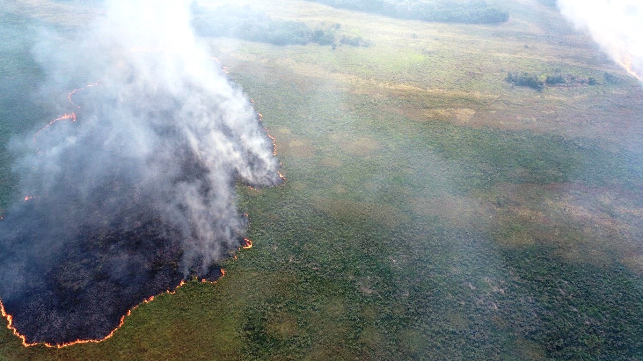 Você está visualizando atualmente Força-tarefa controla incêndio florestal em Naviraí