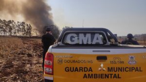 Read more about the article Guarda Municipal Ambiental de Dourados alerta população sobre queimadas