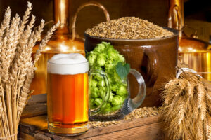 Leia mais sobre o artigo PESQUISA: Lúpulo brasileiro é tão bom quanto o estrangeiro para fabricar cervejas
