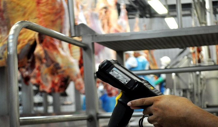 Você está visualizando atualmente Programa Precoce MS ajuda estado produzir a melhor carne do Brasil