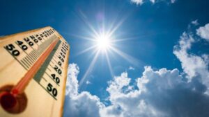 Read more about the article VERÃO BRASILEIRO: Dicas para aliviar o calor mesmo sem ar condicionado