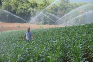 Leia mais sobre o artigo Governo lança Plano Nacional de Fertilizantes, nesta sexta-feira (11)