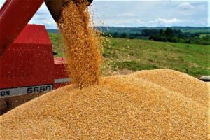 Leia mais sobre o artigo Safra de grãos estimada é de 265,7 milhões de toneladas