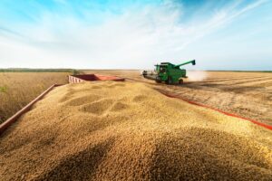 Leia mais sobre o artigo Agricultores já buscam plano B para nova safra, sem fertilizantes