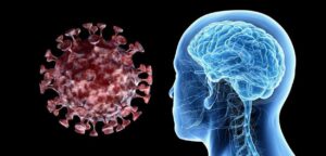 Leia mais sobre o artigo SEQUELAS: Exames de imagem revelam como infecção por Covid pode alterar cérebro