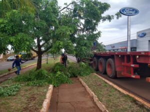 Leia mais sobre o artigo Prefeitura de Dourados garante reforço na retirada de árvores após chuvas