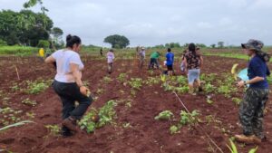 Leia mais sobre o artigo Prefeitura de Dourados implanta Sistema Agroflorestal em aldeia