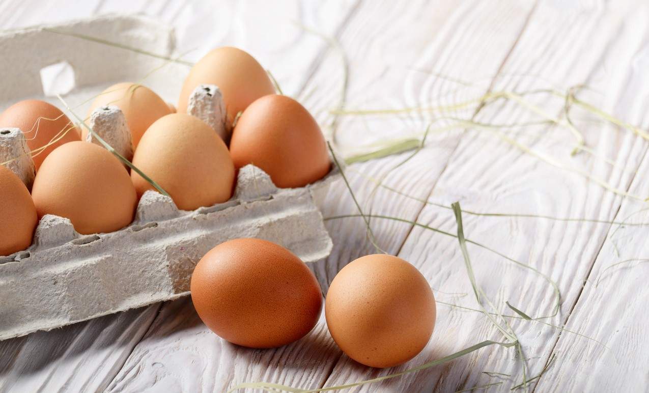 Você está visualizando atualmente Afinal de contas, ovo engorda ou emagrece?
