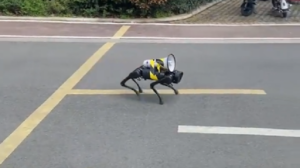 Leia mais sobre o artigo Cão-robô percorre ruas na China com megafone para reforçar lockdown