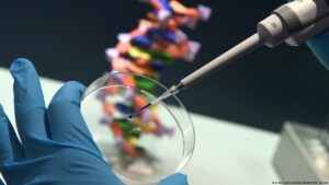 Leia mais sobre o artigo Cientistas sequenciam o genoma humano completo pela primeira vez