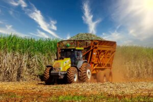 Leia mais sobre o artigo Conab estima um alta de 1,9% na produção de cana-de-açúcar em 2022/23