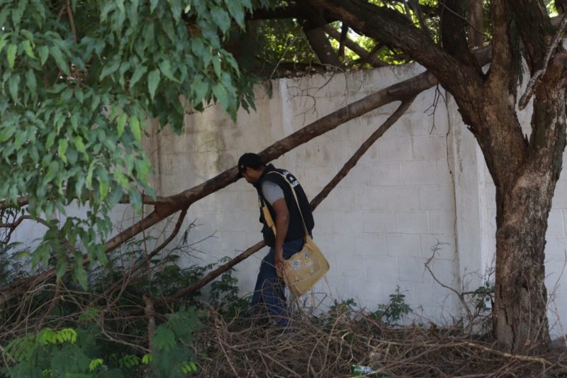 Você está visualizando atualmente Dourados reforça cuidados com a dengue em 75 bairros