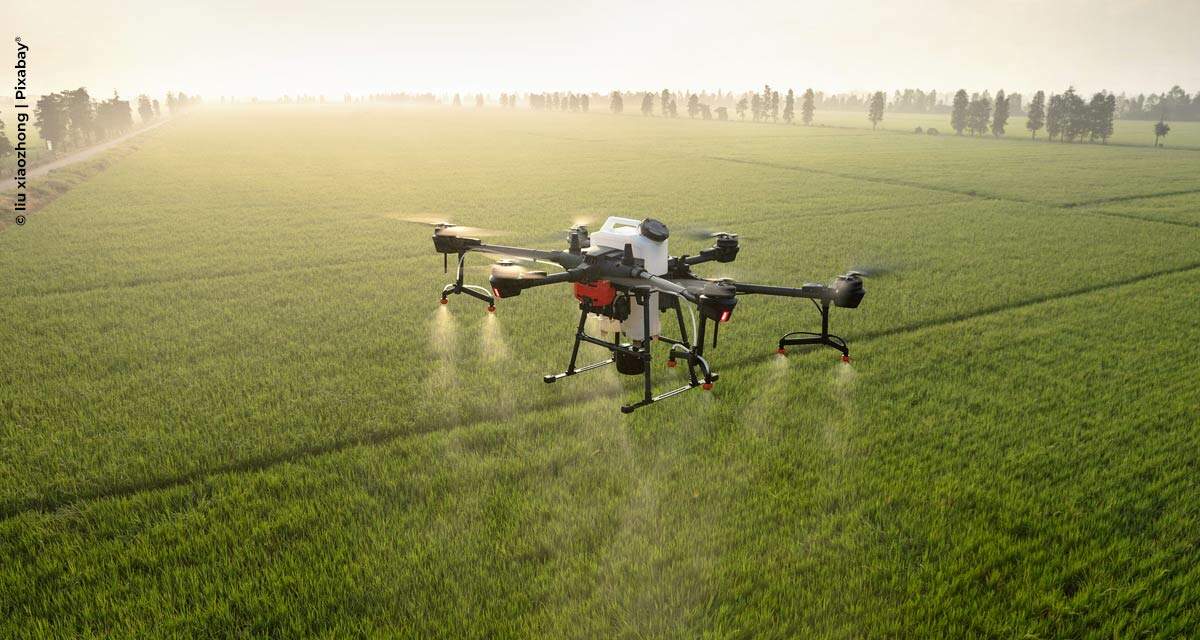 Você está visualizando atualmente Drones estão na mira de agricultores para aumentar produtividade