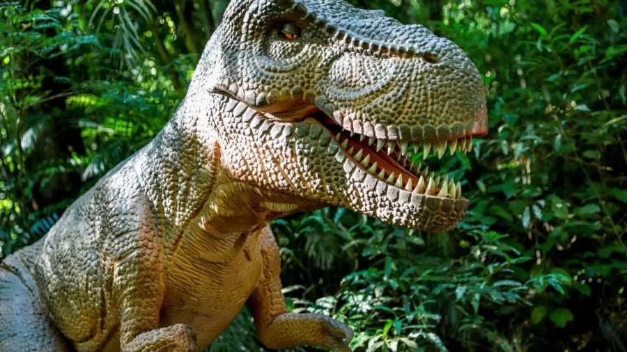 Você está visualizando atualmente Maior parque de dinossauros do mundo será inaugurado no Brasil