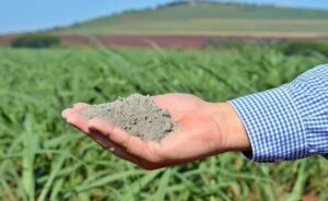 Read more about the article Pó de rocha na agricultura pode ser alternativa para crise de fertilizantes
