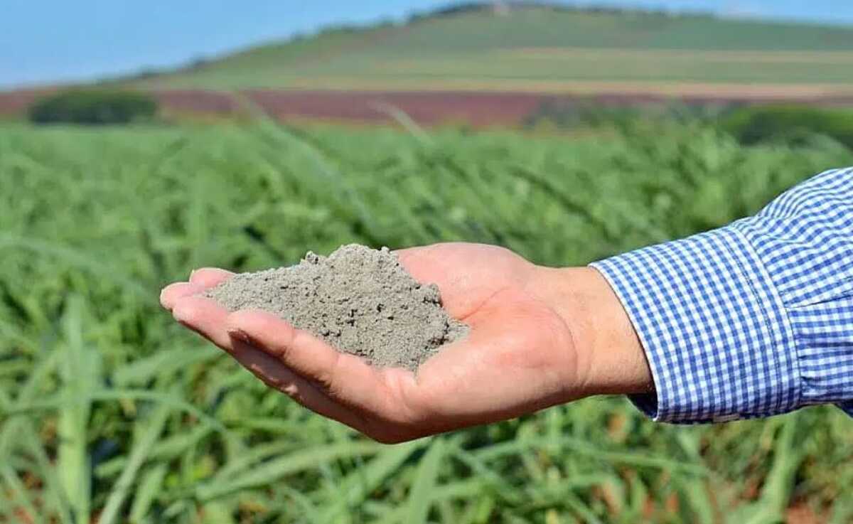Você está visualizando atualmente Pó de rocha na agricultura pode ser alternativa para crise de fertilizantes
