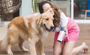 Read more about the article ESTUDO: Donos de cães são mais felizes do que pessoas sem pets