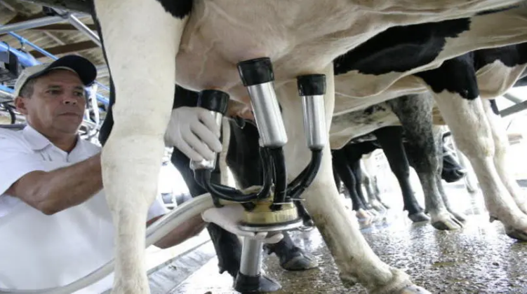 Você está visualizando atualmente APOIO DO SENAR/MS: Produtor de leite reduz custos e bate recorde de produção