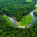 COM AJUDA DO AGRO: Vídeo mostra que a maior área de proteção ambiental do mundo é a brasileira!